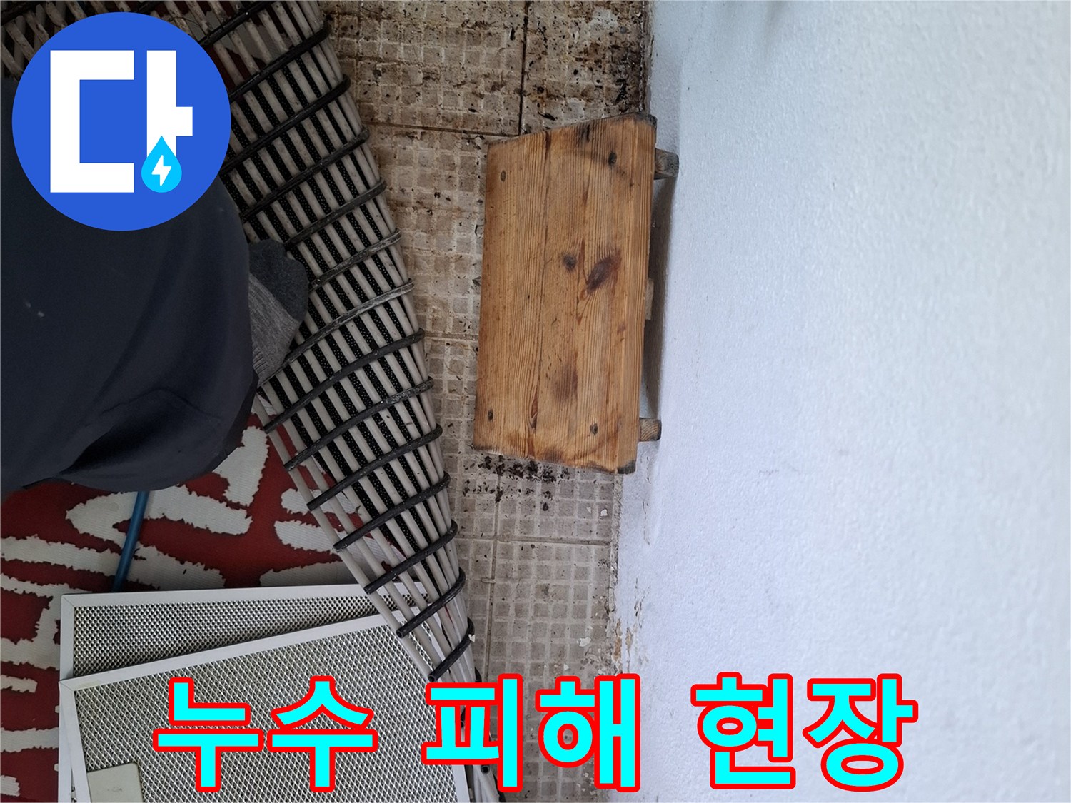 물자국과 곰팡이가 발생한 아랫집 천장 내부 상황