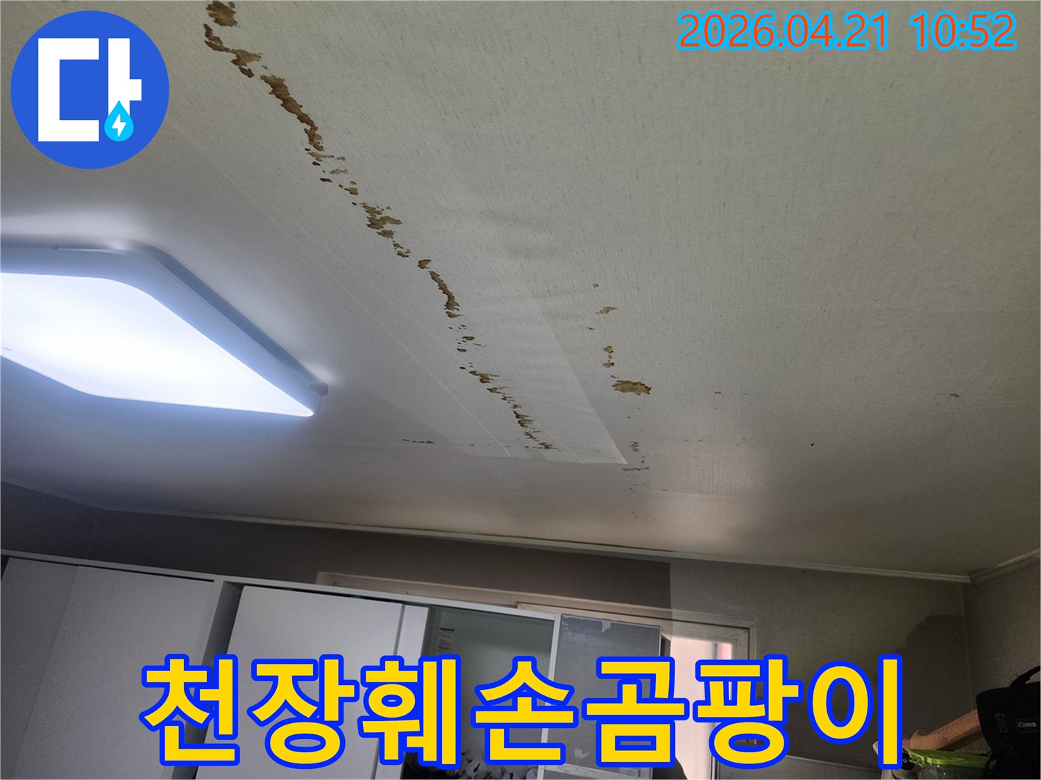 천장-누수로-인해-벽지가-훼손되고-곰팡이가-생긴-상가-현장-사진입니다