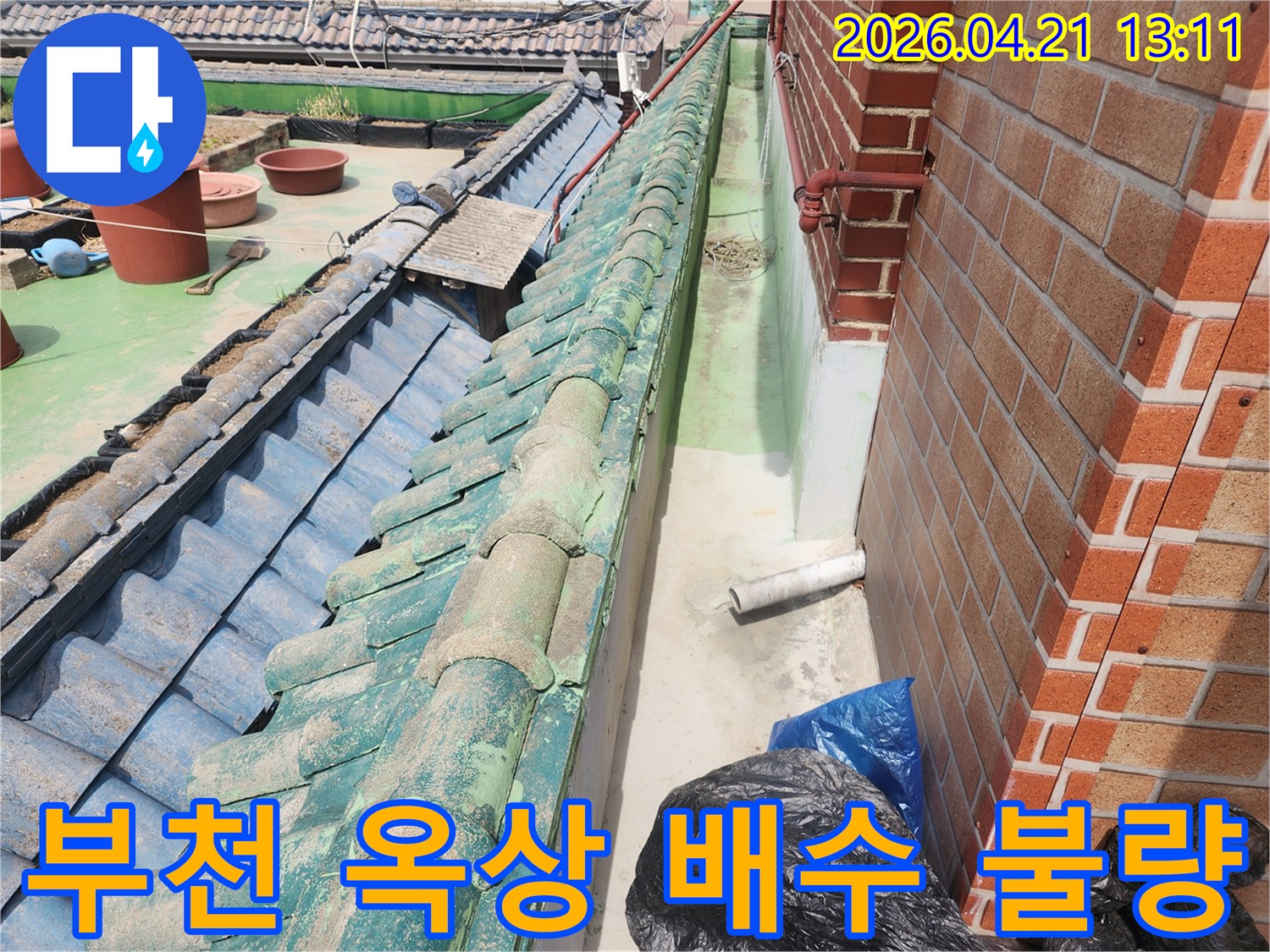 오래된 기와지붕 옆-배수 불량으로 인해-빗물이 고여있는-누수 발생 위험 현장