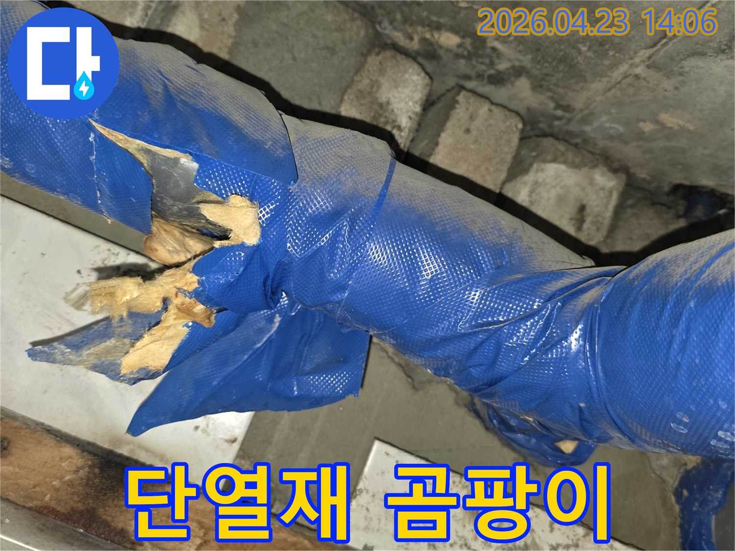 손상된 단열재로 인해-습기가 차서-곰팡이가 발생한-모습입니다
