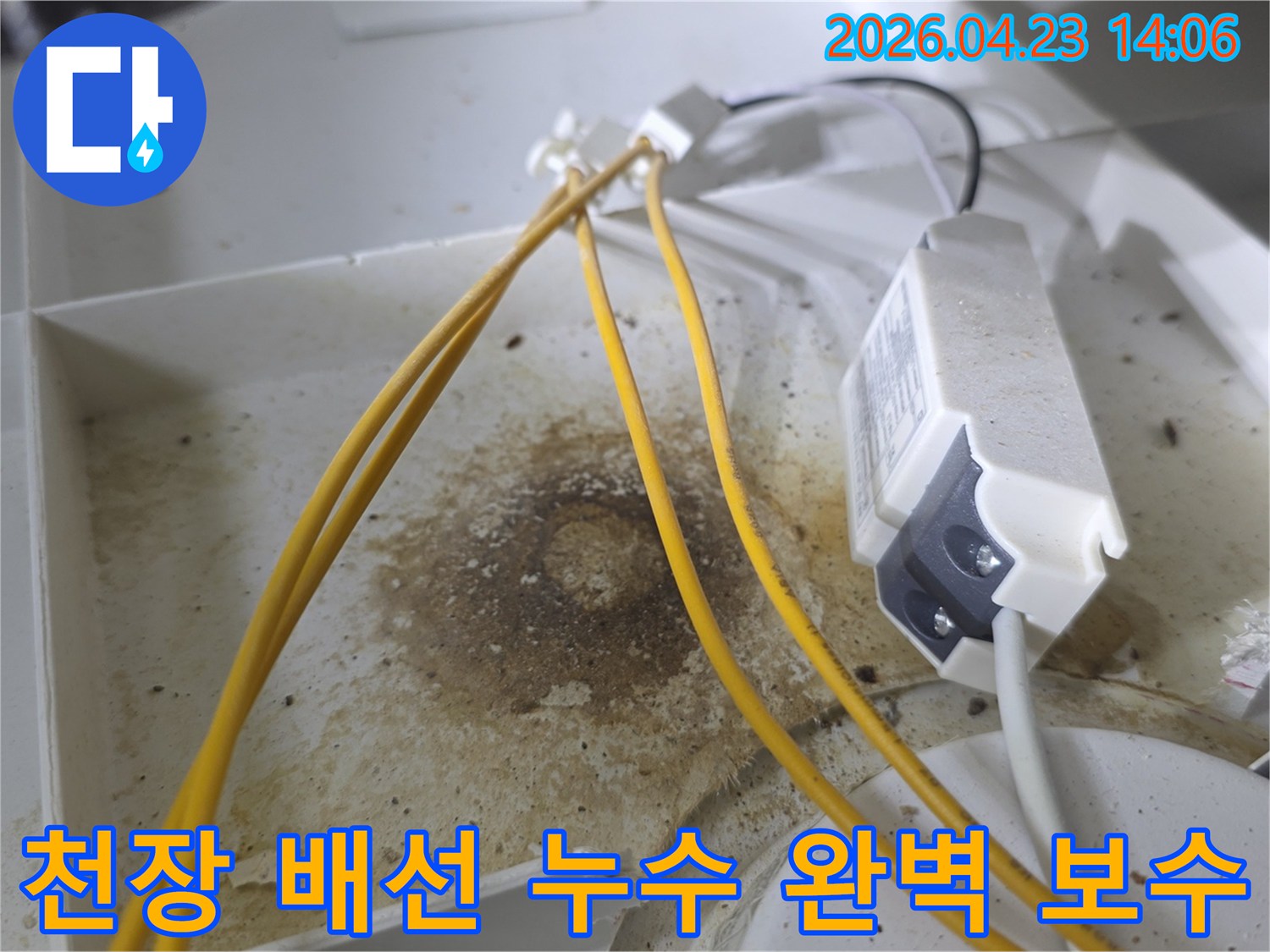 천장 속 전기 배선과 부품 주변에 형성된 짙은 물자국과 흙탕물 같은 오염-장기간 누수로 인한 피해를 명확히 보여줍니다-정확한 누수 지점 파악에 필수적인 증거입니다