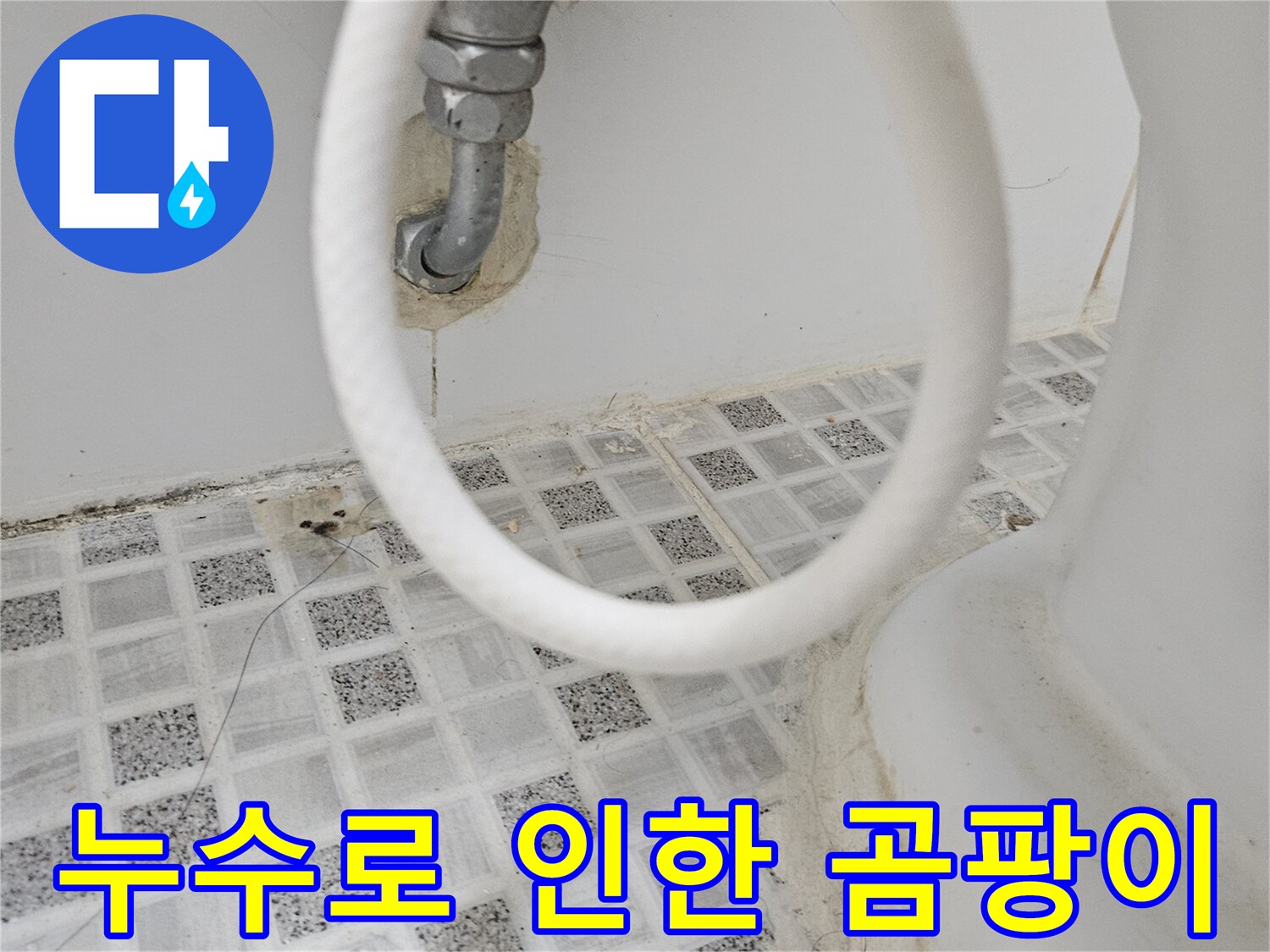 욕실 벽면과 타일 줄눈에-누수로 인해 발생한-곰팡이와 오염 흔적을-자세히 보여주는 사진입니다.