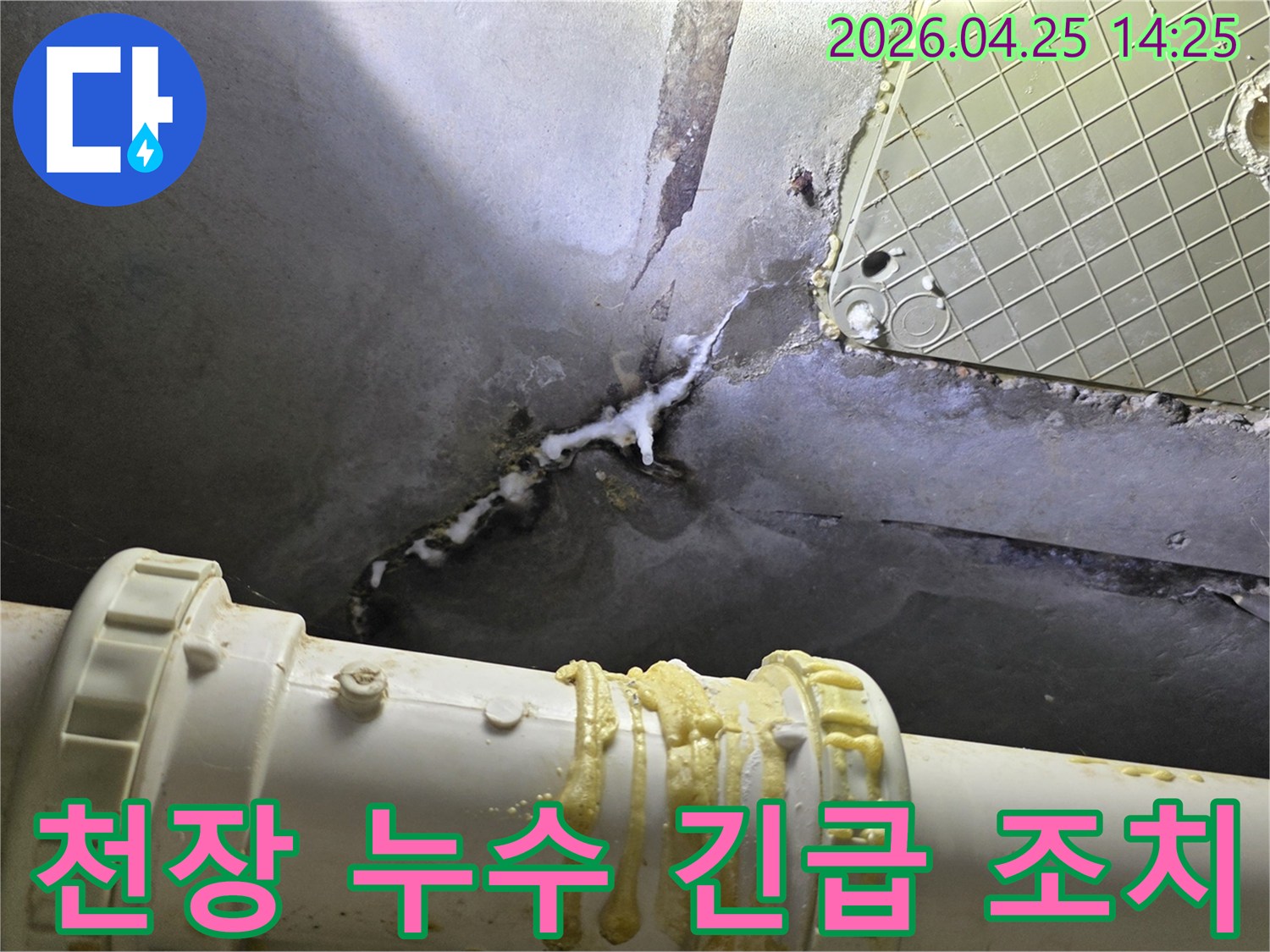 천장에서 물이 새고 있는 현장으로-물자국과 곰팡이가 생기기 전-빠른 조치가 필요한 상황입니다