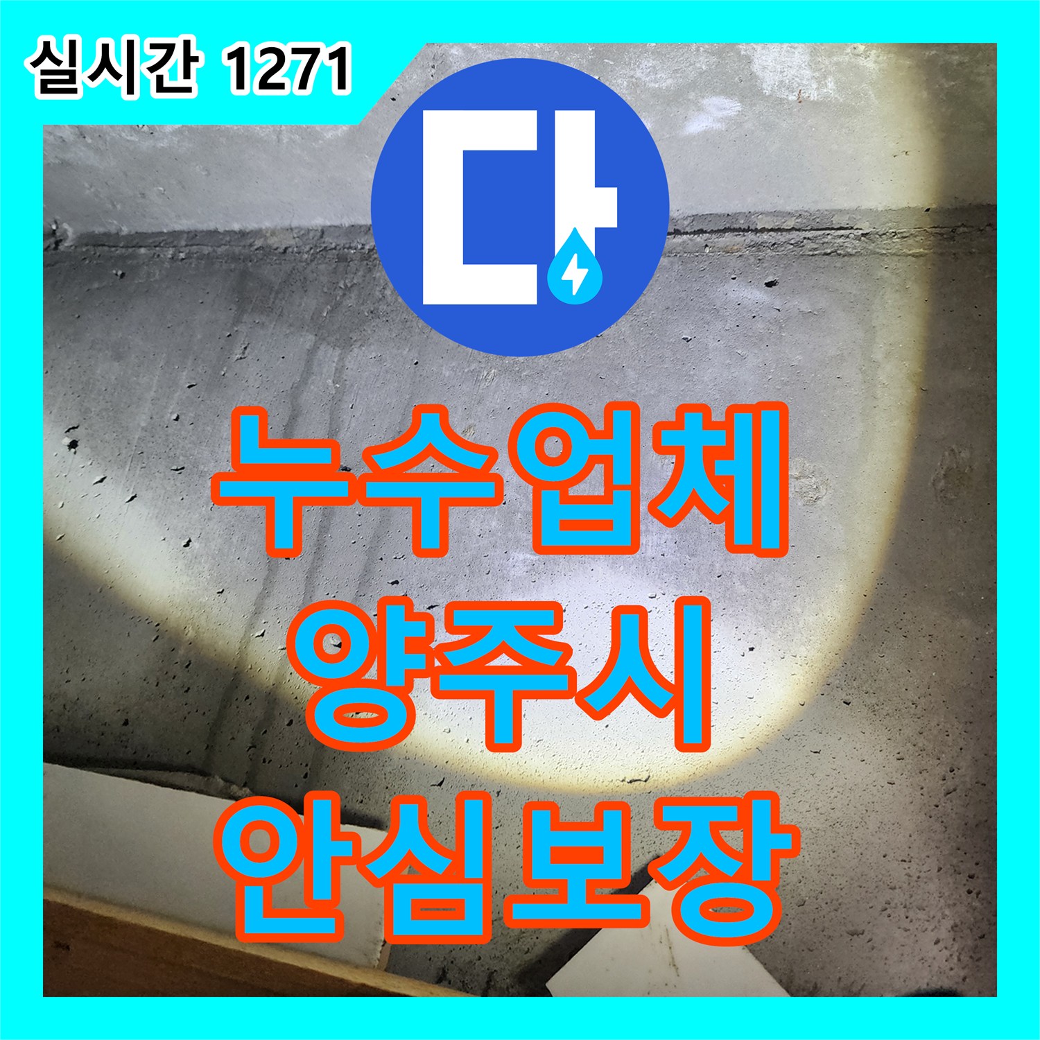 누수탐지전문업체, 양주 주택 누수 문제, 꼼꼼한 탐지로 해결하다, 양주 지역