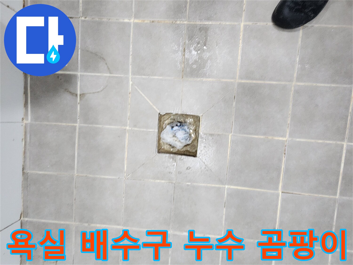 서대문구-아파트-욕실-배수구-주변-누수로-인한-곰팡이-발생-현장-점검