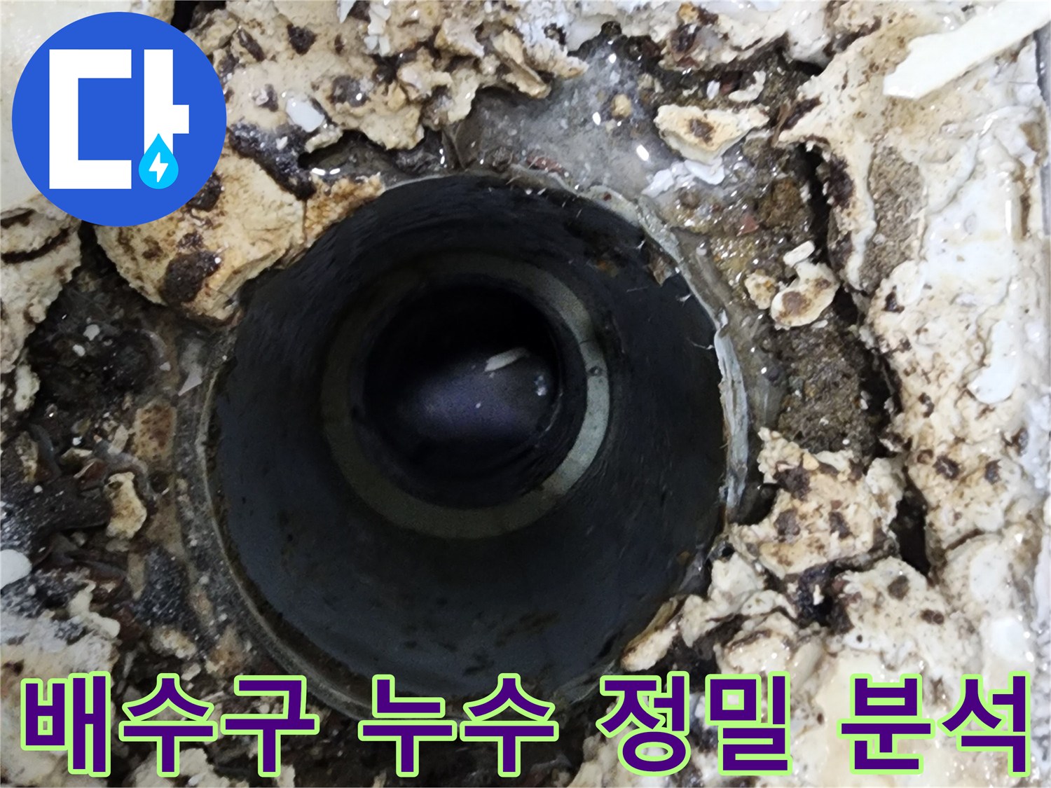 서울 서대문구 화장실 배수구 주변에서-발견된 물샘 현상을-정밀하게 분석하는 모습