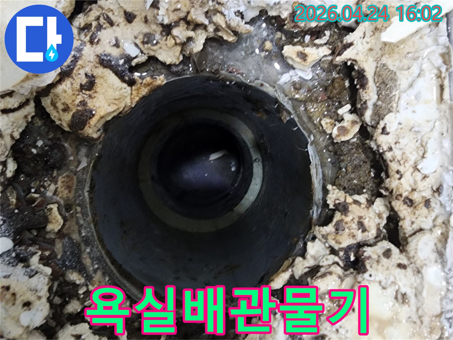 오래된 배수구 주변의 물기-누수 문제의 심각성을 보여줌