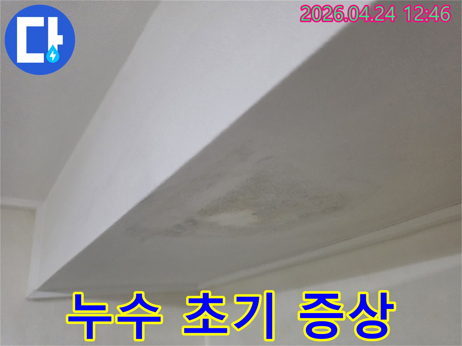 천장에 나타난 누수 초기 증상인 물자국과 곰팡이-신속한 대처가 필요한 상황을 보여주는 사진