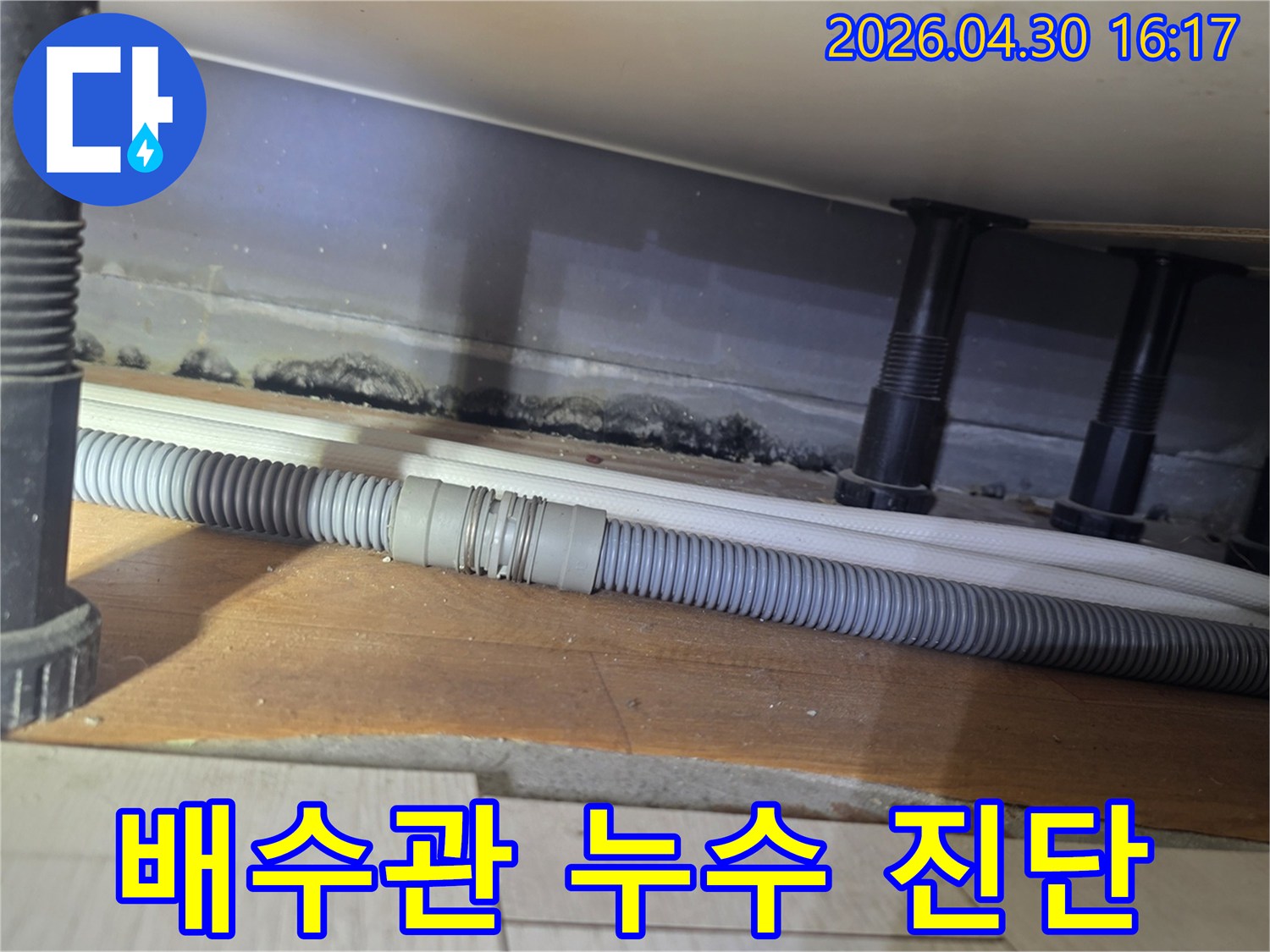 욕실 하부-배수관 주변에서-발견된 누수 흔적과-오랜 시간 방치된-곰팡이 오염