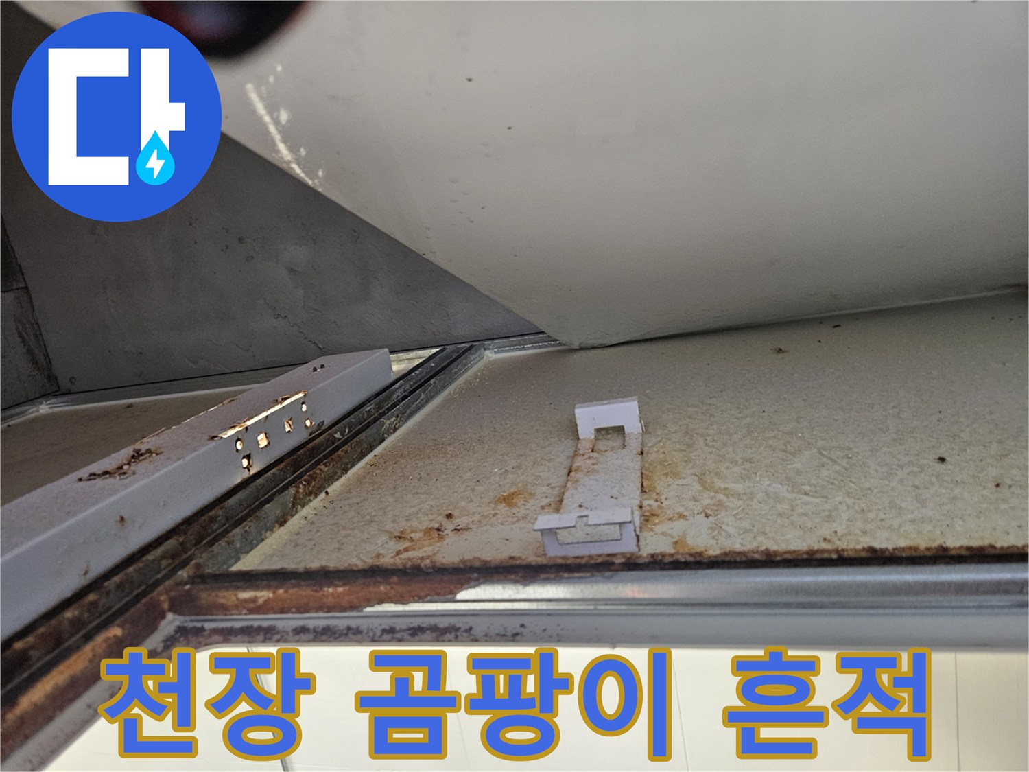 아파트 욕실 천장에서 누수로 인한 곰팡이 흔적-습한 환경의 명확한 증거