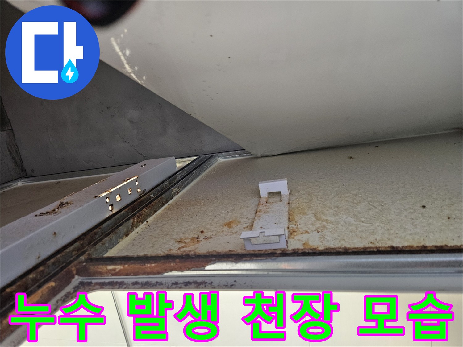 욕실 천장에서 발생한 누수로 인해-녹물과 곰팡이가 번진 모습
