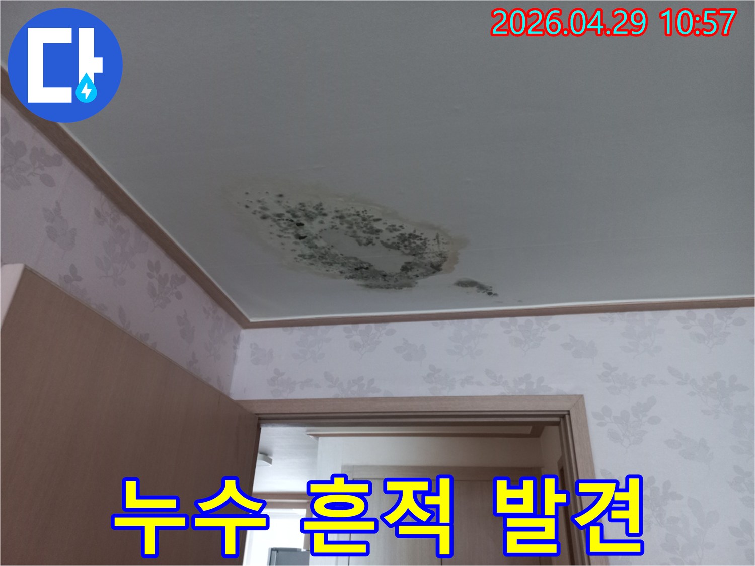 천장에-물이-새어-발생한-곰팡이와-얼룩이-선명한-모습입니다.