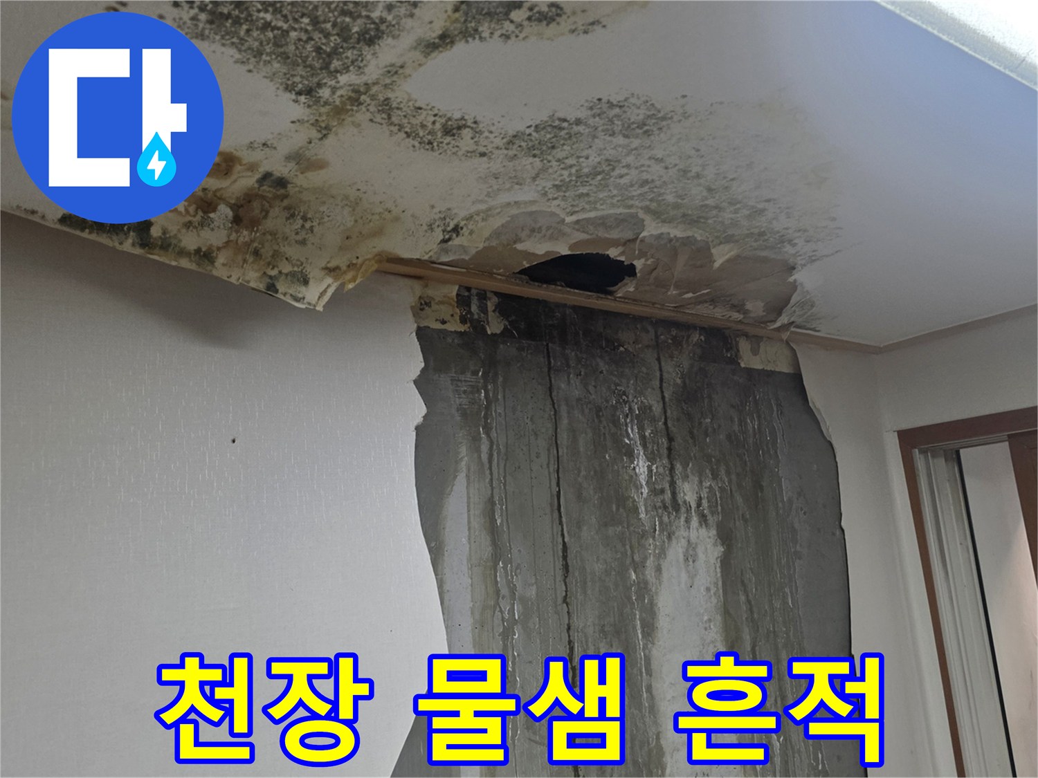 천장 벽지-곰팡이와 물샘으로 훼손된 모습