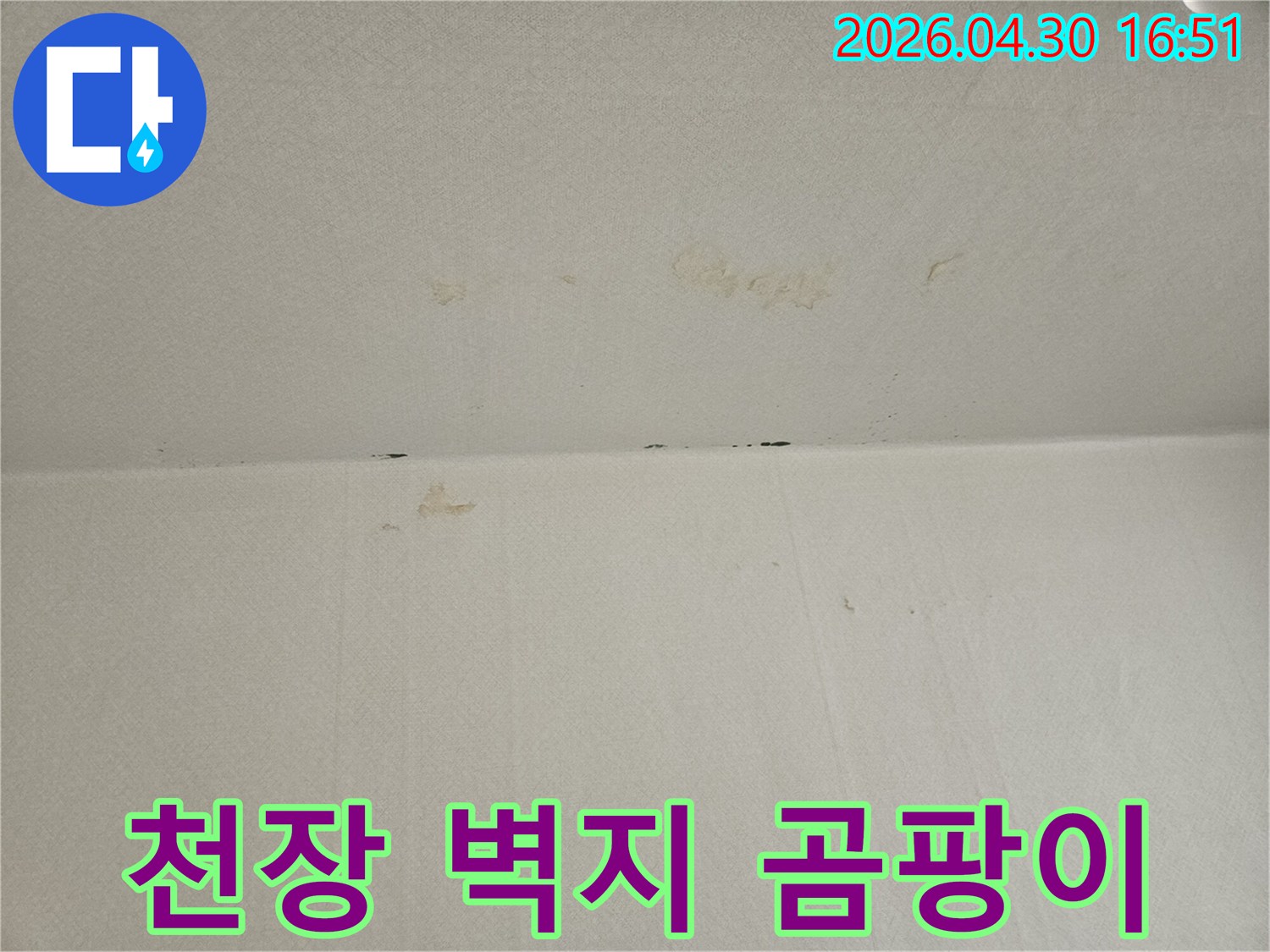 천장과-벽면-경계에-발생한-곰팡이와-누수-자국은-지속적인-습기-유입을-시사하며-정밀-탐지가-필요합니다