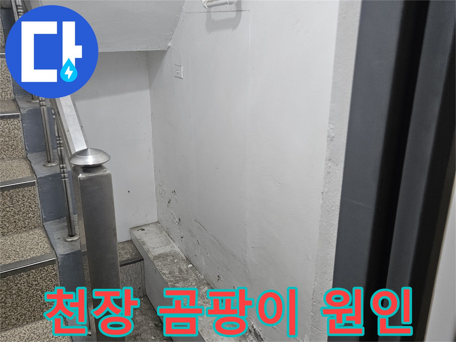 천장에 발생한 곰팡이가-누수와 관련이 있음을-보여주는 사진입니다