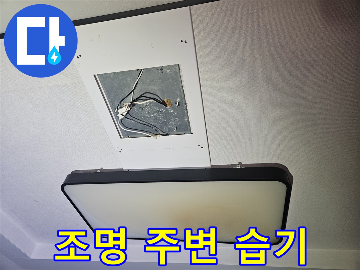 천장 조명 설치 구멍 주위의 젖은 마감재와 전선 상태