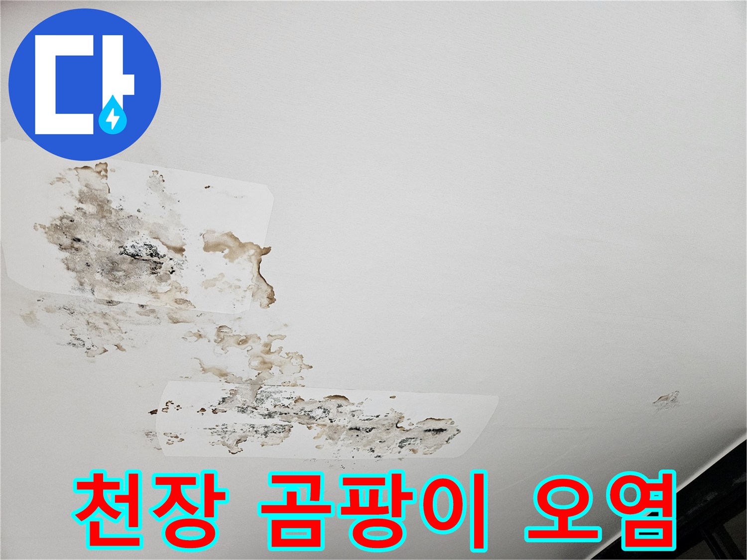 천장 벽면-심각한 수준의 곰팡이와 물샘 흔적