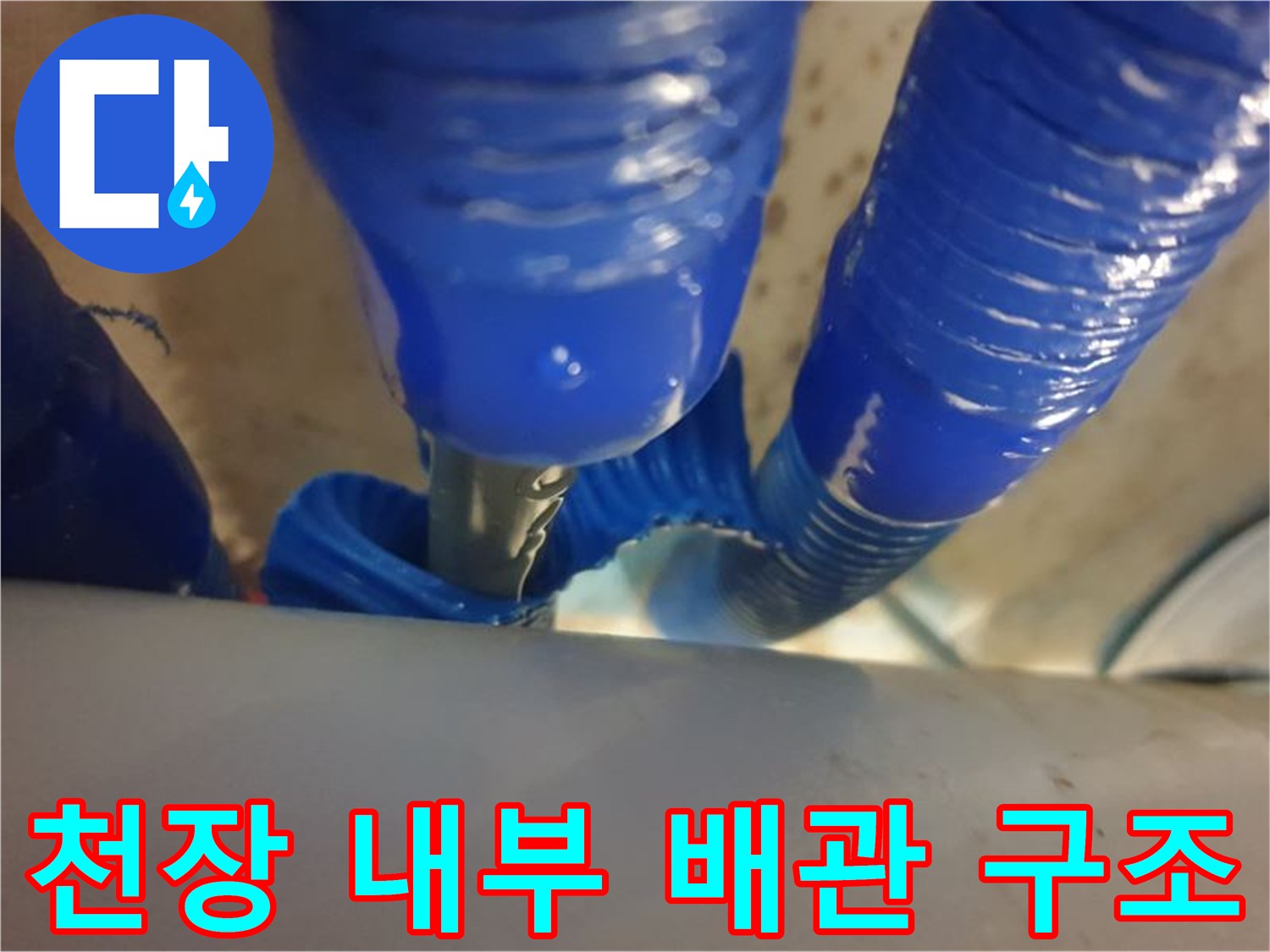 누수 지점을 찾기 위해 확인 중인 천장 내부의 파란색 이중배관 모습입니다.