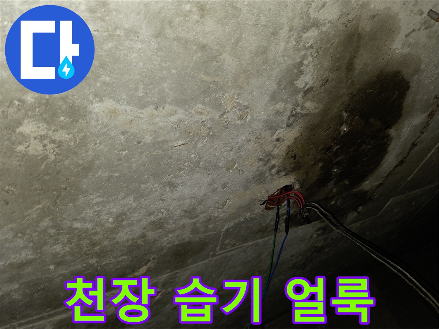 천장 석고보드-습기로 인한 검은색 얼룩과 파손 상태