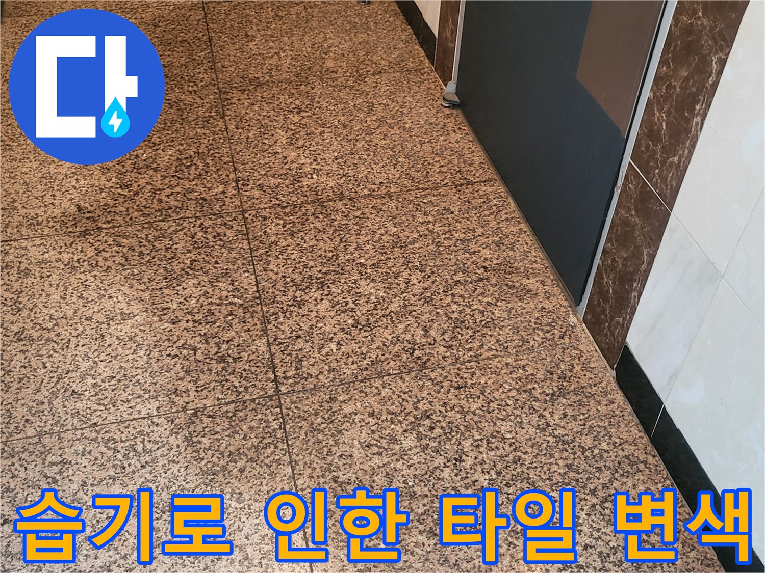물기에 젖어 어두워진 현관 바닥 석재 타일의 모습