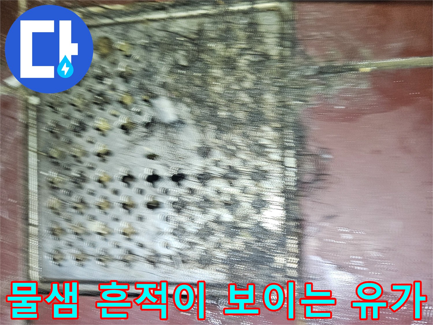 화장실 배수구 덮개 주변의 습기와 어두운 오염 부위