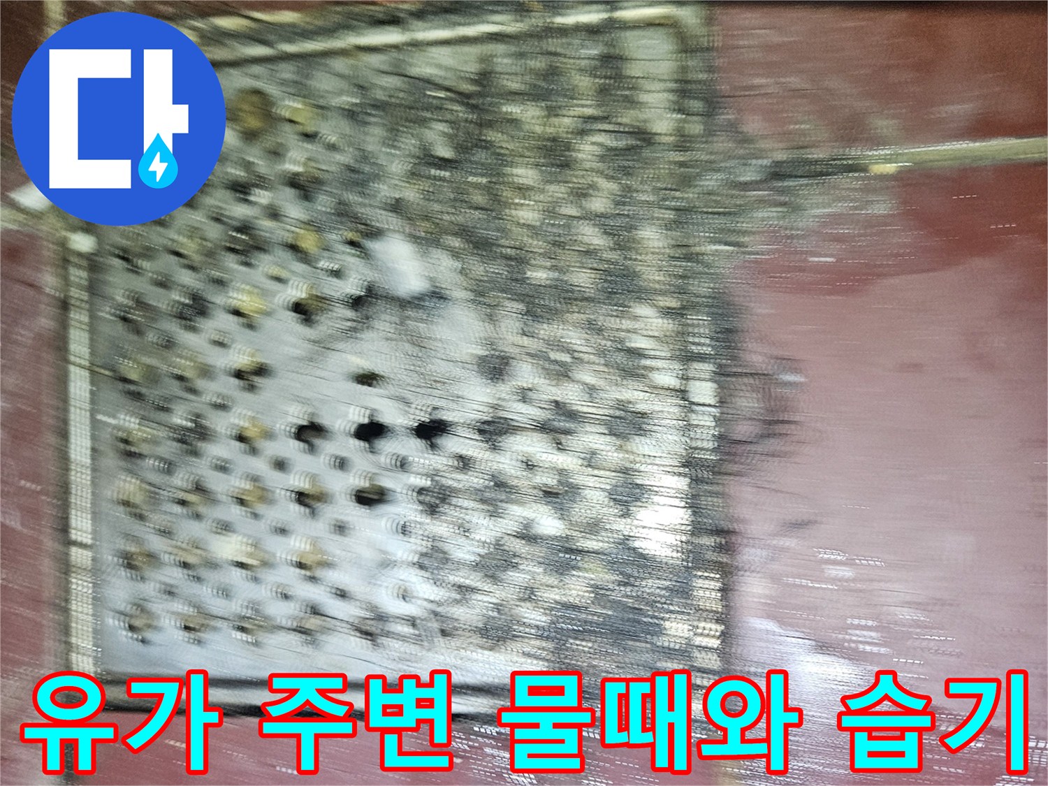 화장실 유가 덮개 부위-배수구 주변의 오염된 타일 상태를 보여줍니다.