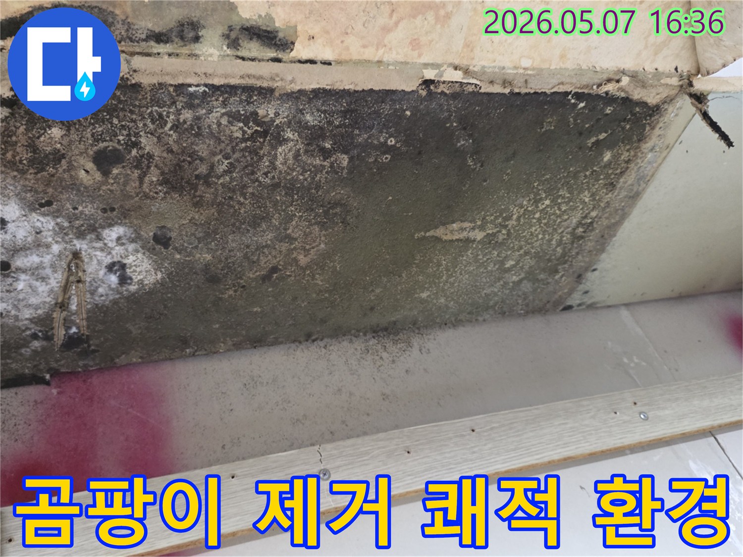 천장-누수로-인한-곰팡이-제거-후-쾌적한-환경-조성-현장-사진