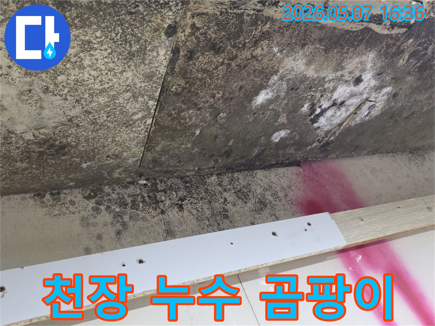 천장-누수로-인한-심각한-곰팡이-오염-현장-모습입니다