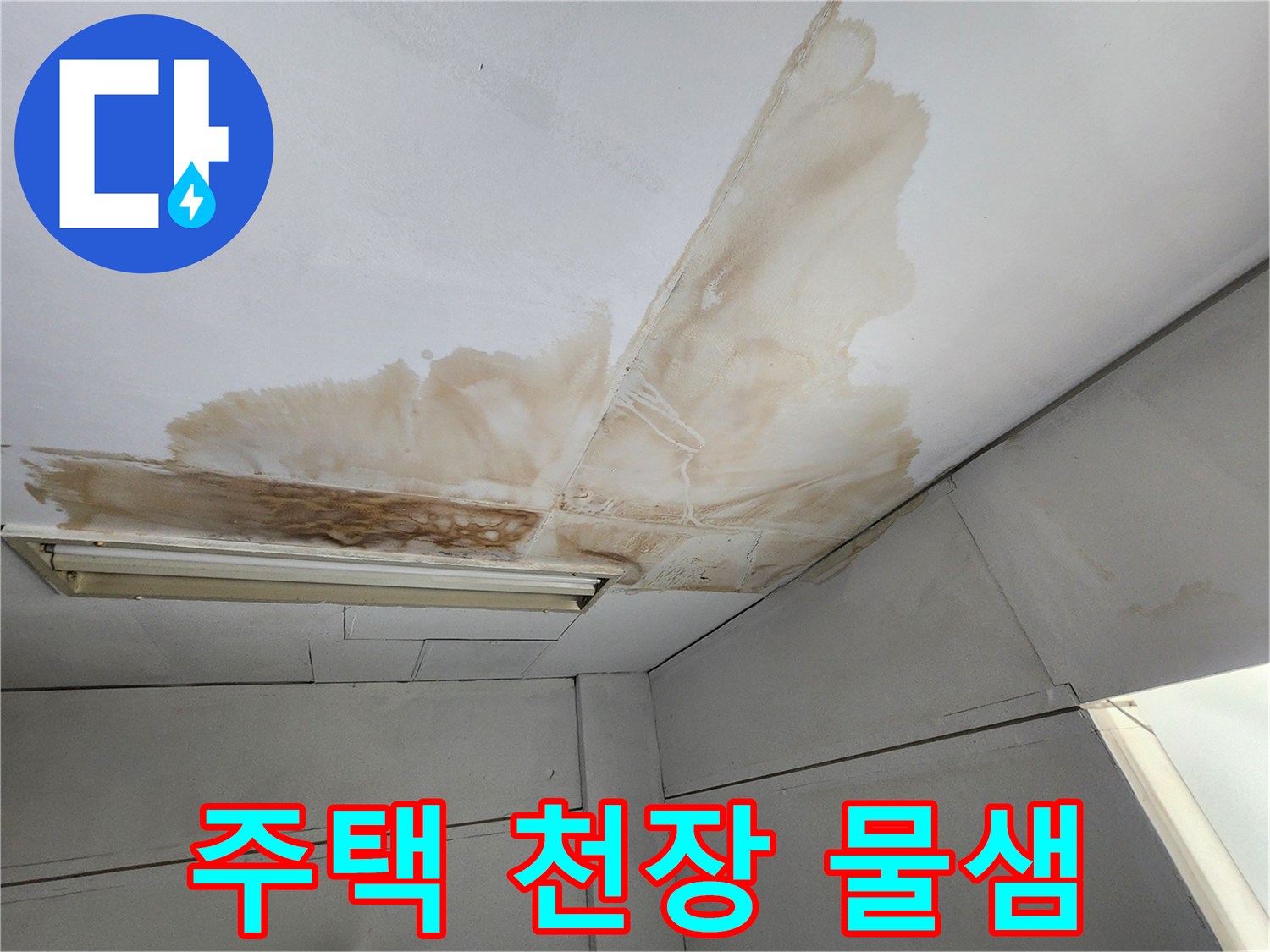 주택 천장 표면에 물이 새어 발생한 갈색 얼룩과 곰팡이가 넓게 퍼져있는 상태를 보여주는 이미지