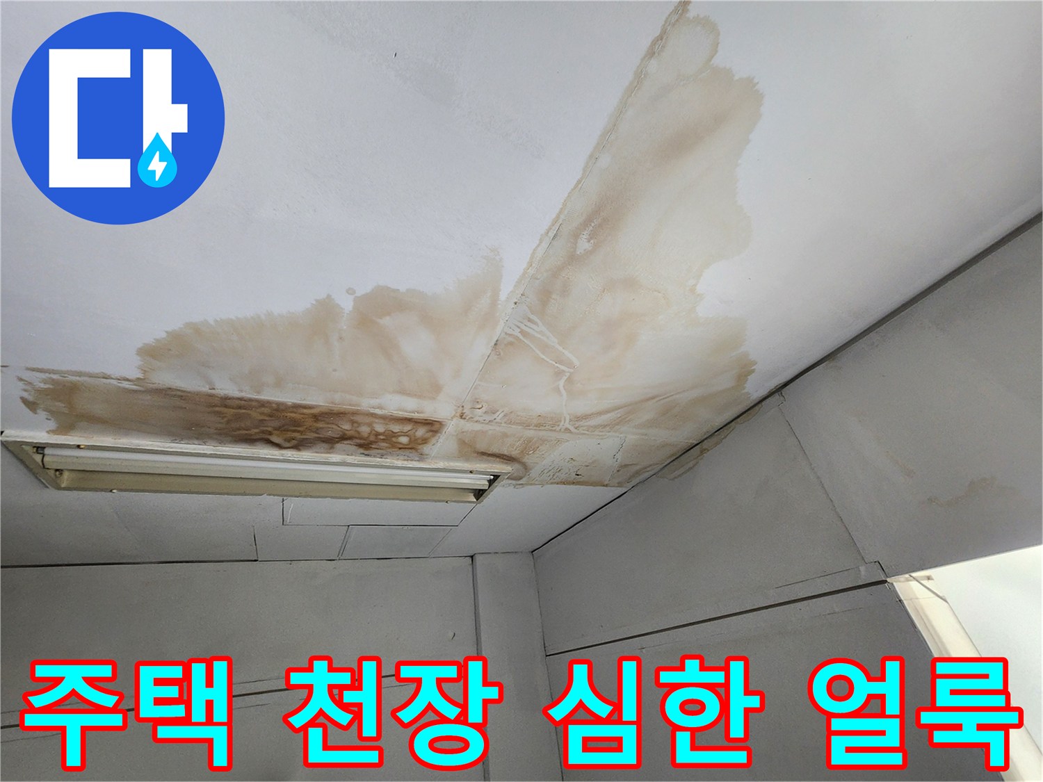 주택 천장 표면에 물이 새어 발생한 진한 갈색 얼룩과 함께 곰팡이가 피어있는 상태