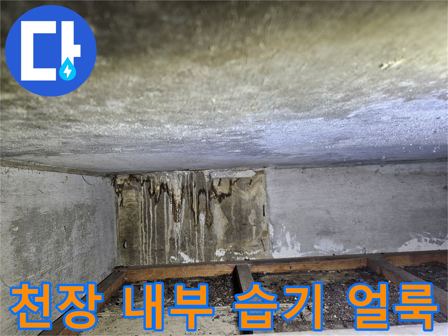 건물-천장-내부-습기-및-오염-상태