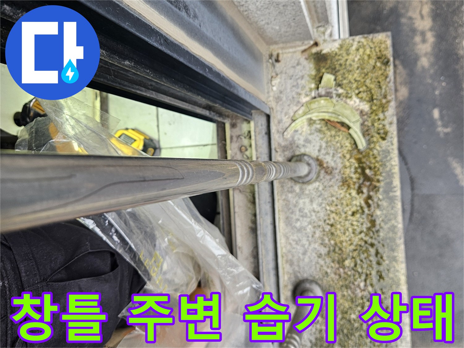 일산동구 주택-창틀 하부 석재 부위의 습기와 이끼 현상