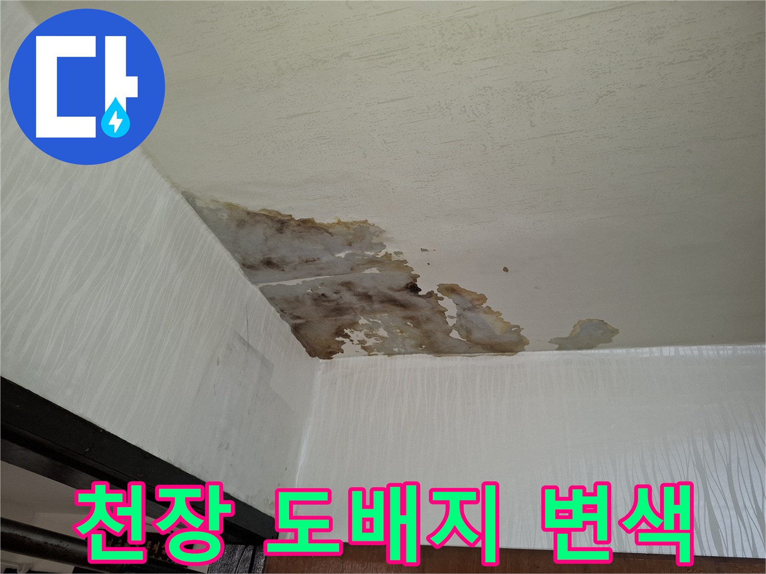 거실-천장-벽지가-물에-젖어-변색된-모습