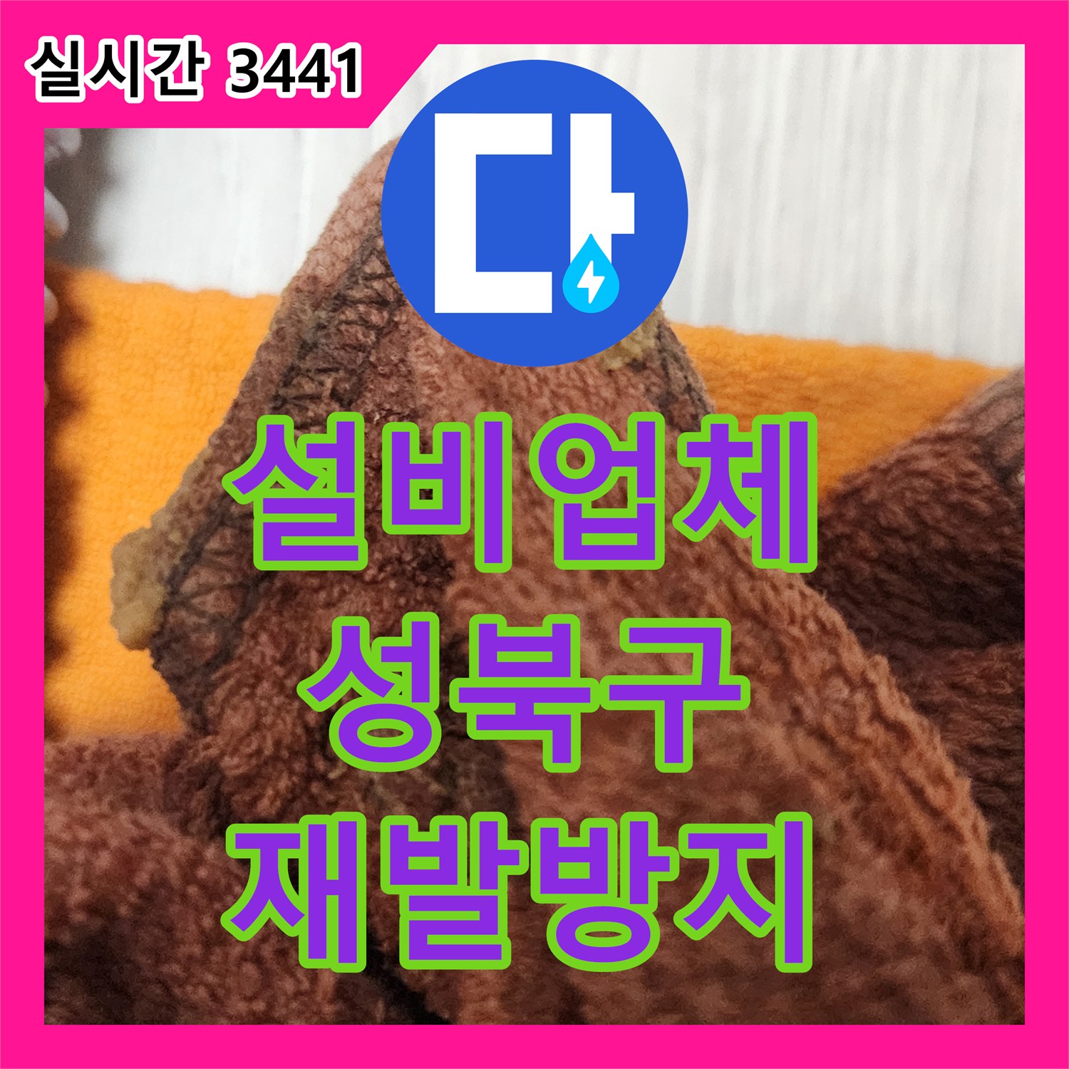 누수설비업체 미세한 틈새로 진행된 누수 문제, 전문 장비로 찾아내어 보수하는 이야기 서울 성북구