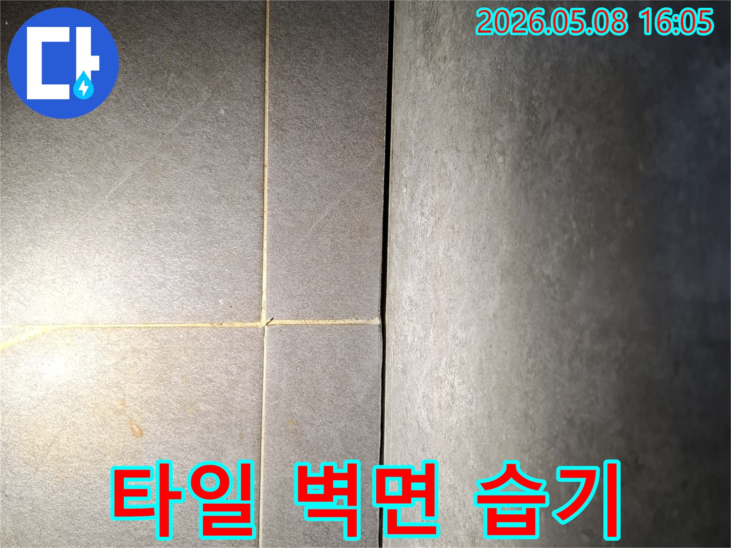 누수-엔지니어가-타일-벽면-이음새의-습기-상태를-정밀하게-탐지하는-모습을-보여주는-사진