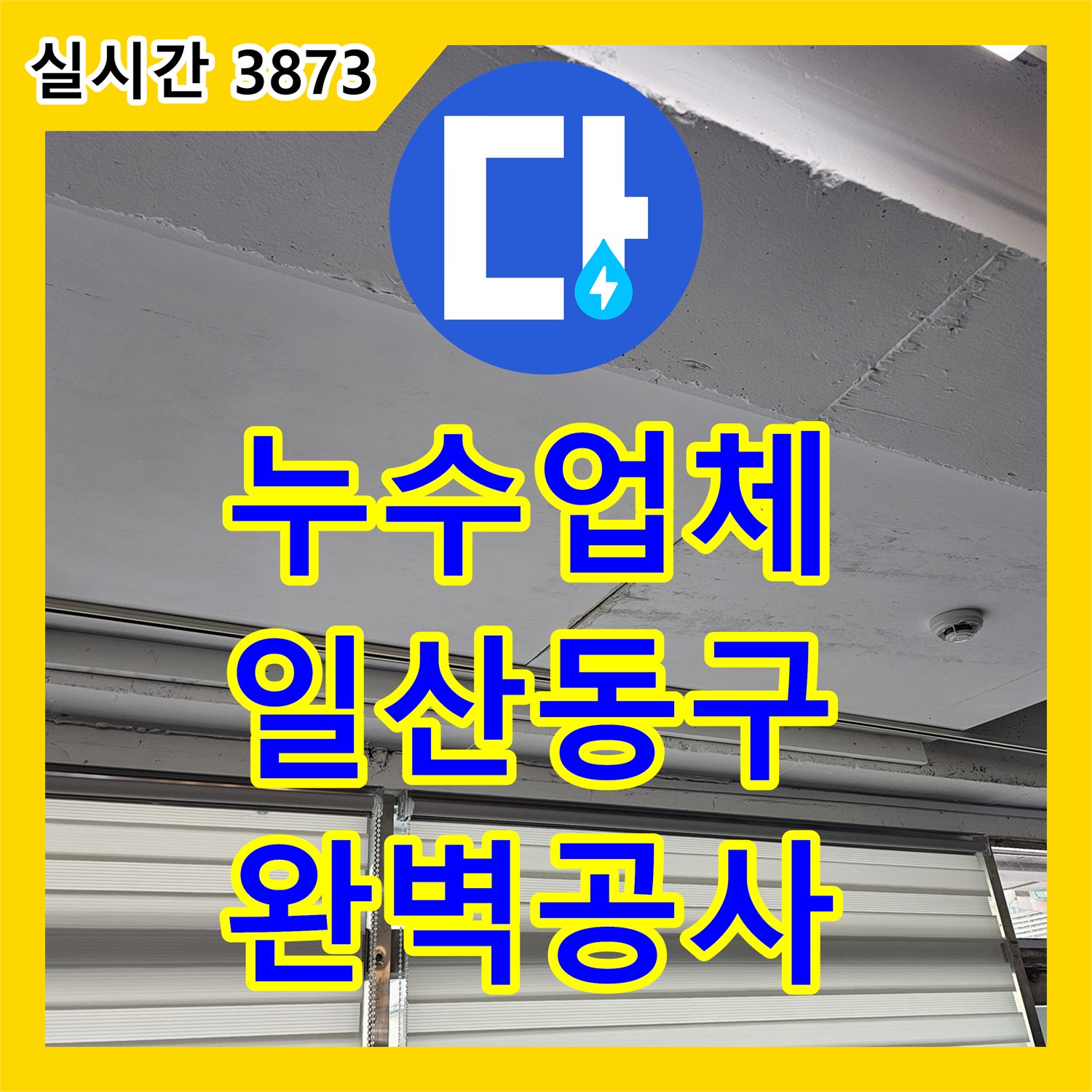 누수전문업체, 보일러 주변 배관 누수, 더 큰 피해 막기 위한 신속한 탐지와 공사 경기 고양시 일산동구 일산로 123번길