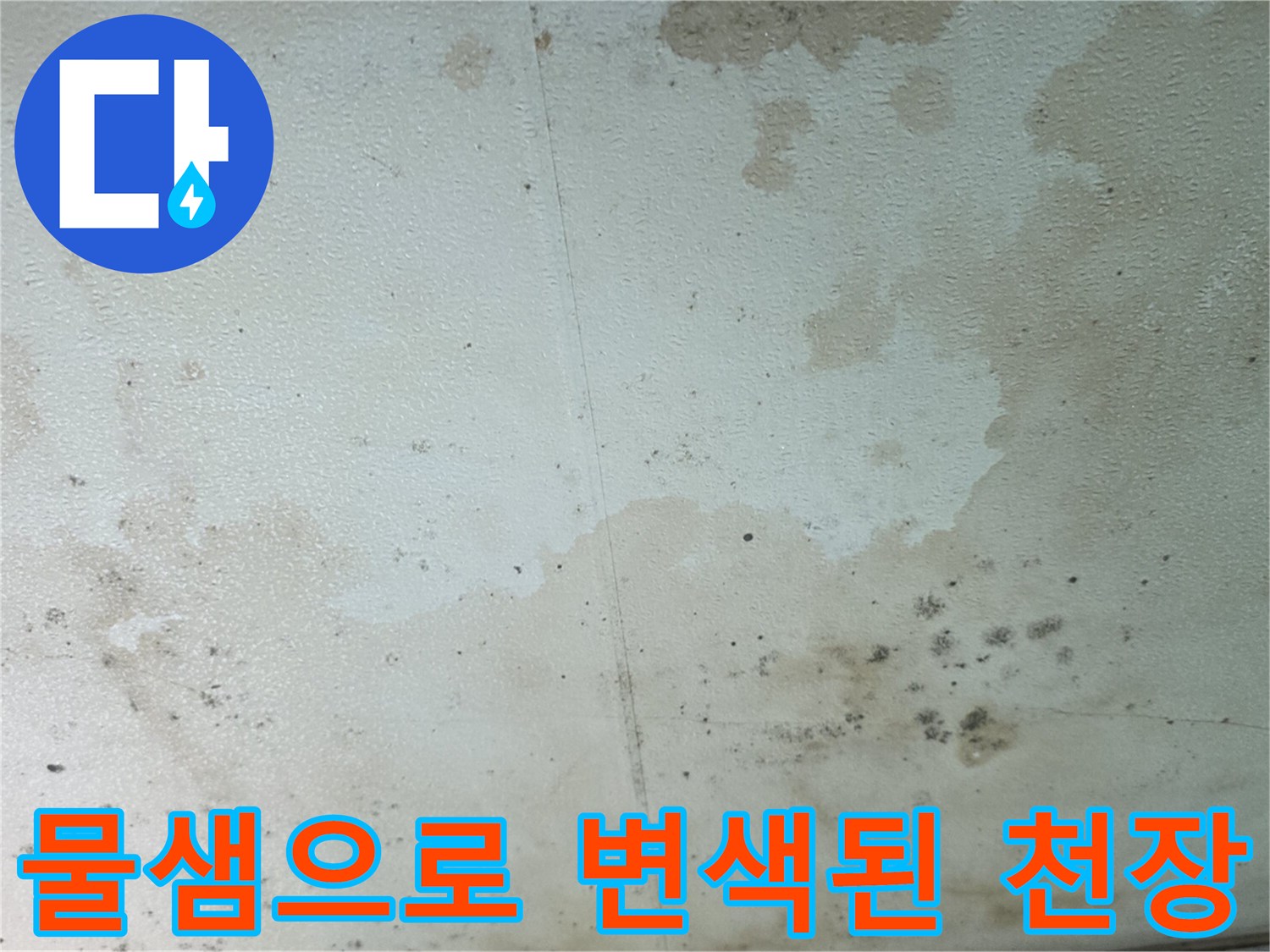 누수가 진행 중임을 보여주는 천장의 물 얼룩과 곰팡이