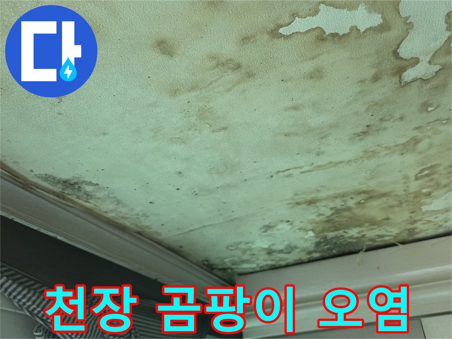 습기로 인해 변색된 천장 벽지와 곰팡이 발생 부위