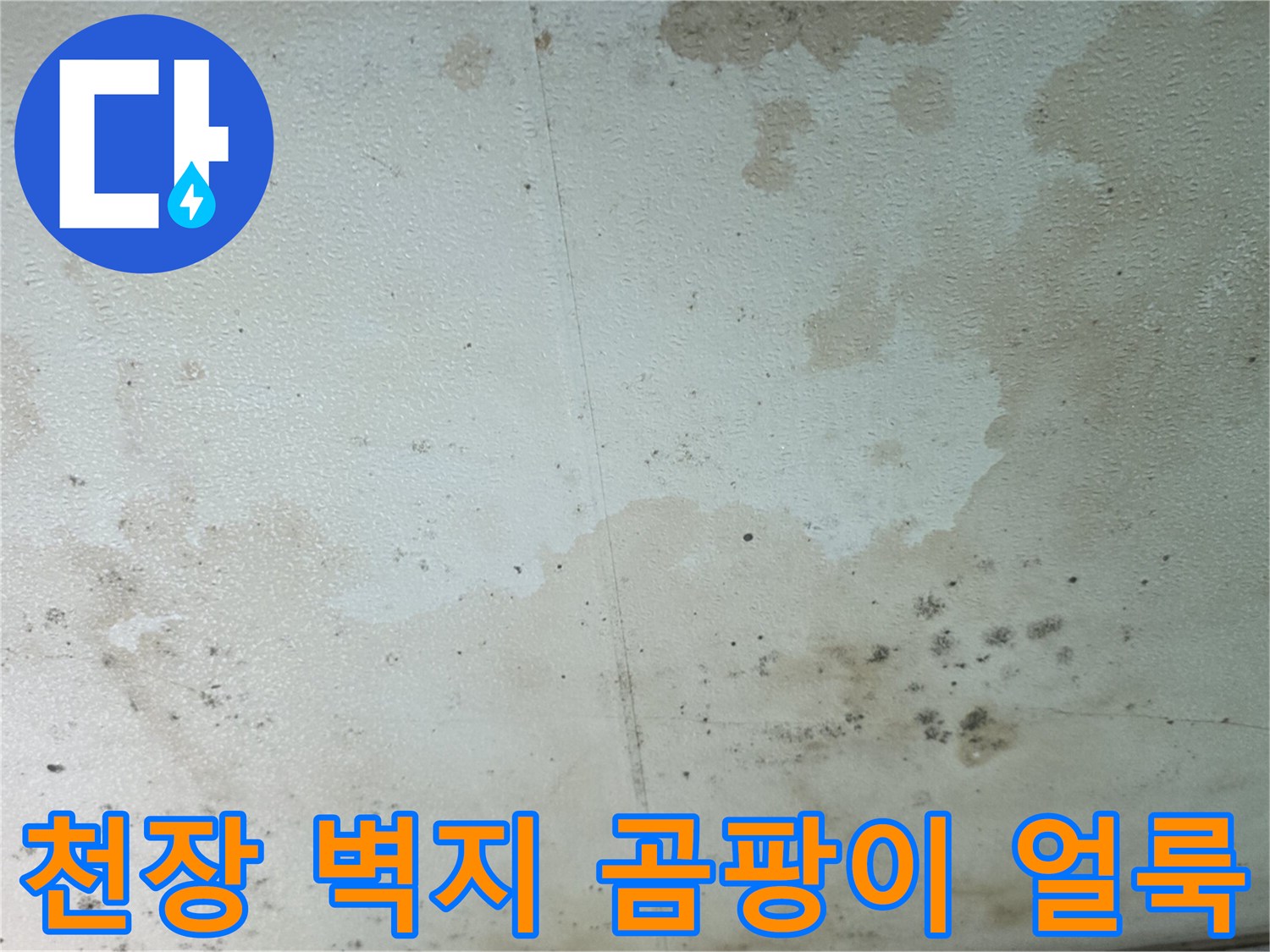 인천 유동 빌라 천장에 발생한 누수 흔적과 곰팡이 상태