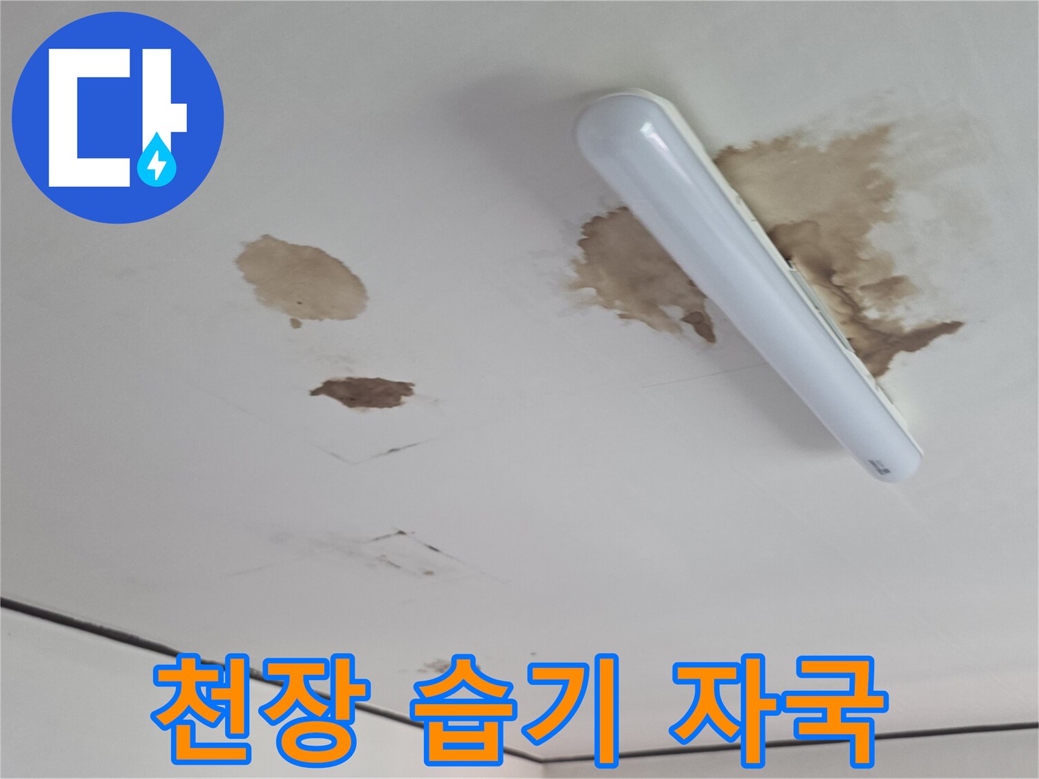 흰색 천장 벽지에 발생한 짙은 갈색의 누수 오염 부위