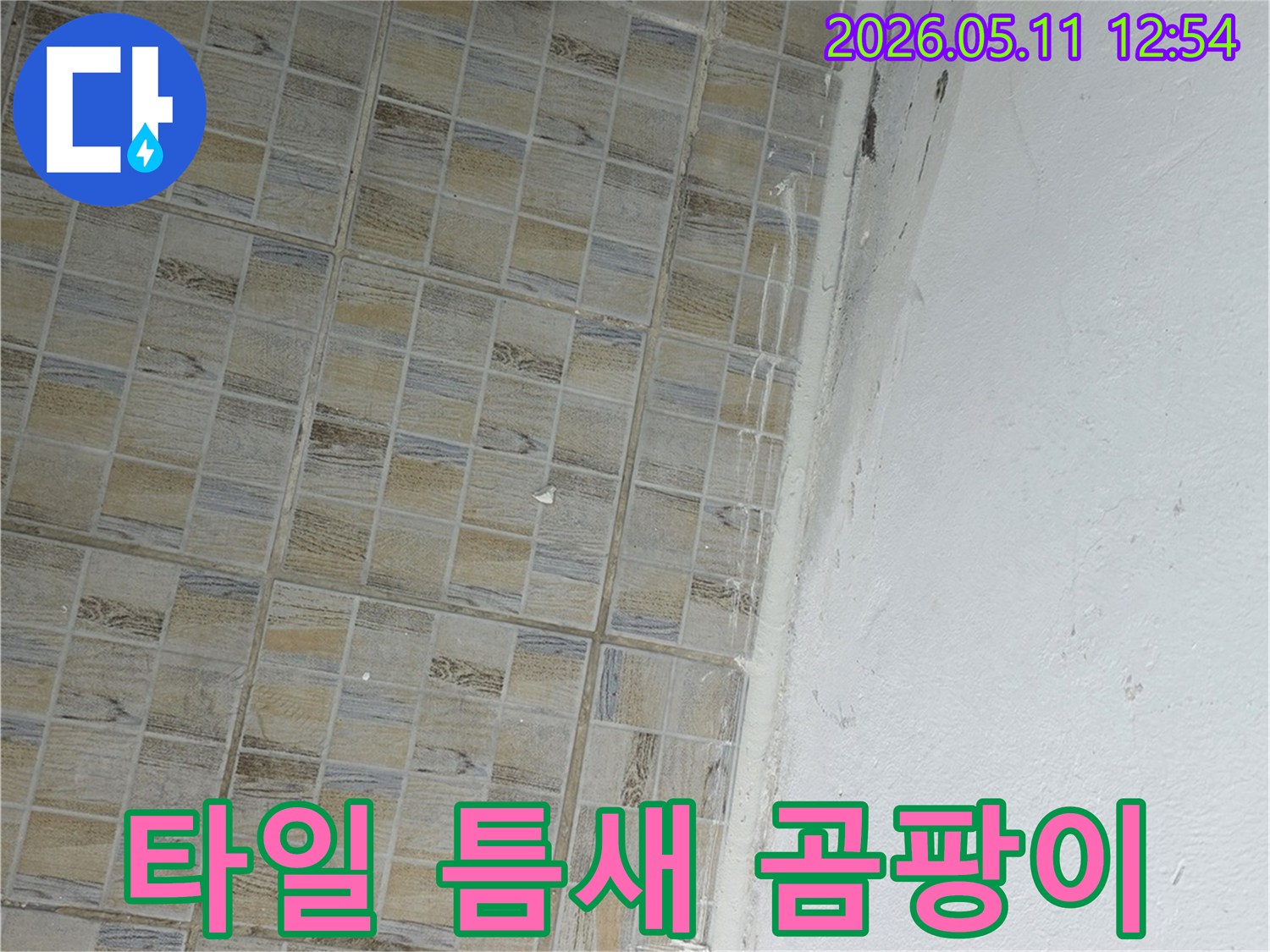 이 이미지는-서울 양천구 신안파크아파트의-타일-틈새에서-발생한-누수로-인한-곰팡이와-벽면-변색을-보여줍니다.