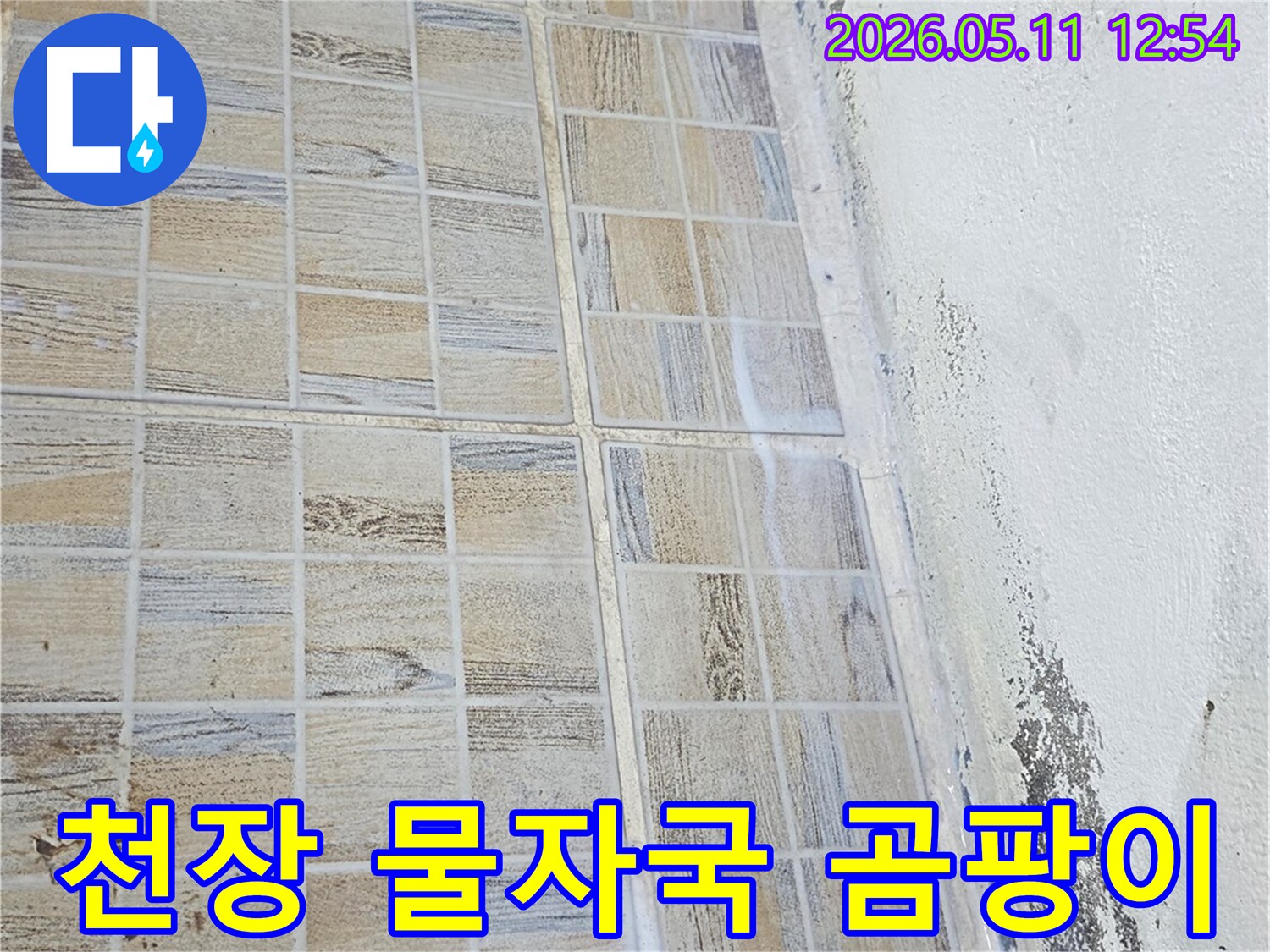천장에-물자국과-곰팡이가-동시에-발생하고-타일-벽면에-누수-흔적이-남은-현장을-보여주는-사진