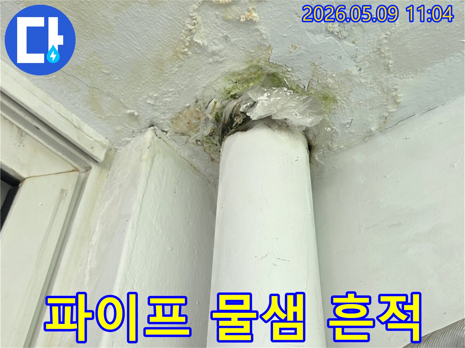 파이프 주변에서-물이 새어-벽면이 젖고-곰팡이가 발생한-물샘 현장 이미지