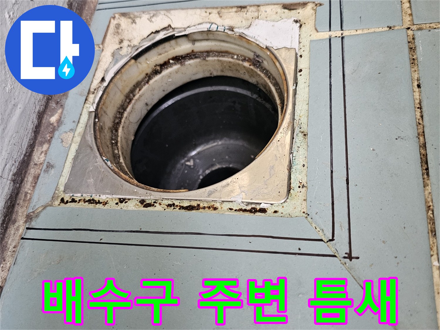 배관-주변의-타일-틈새와-노출된-배수구-내부