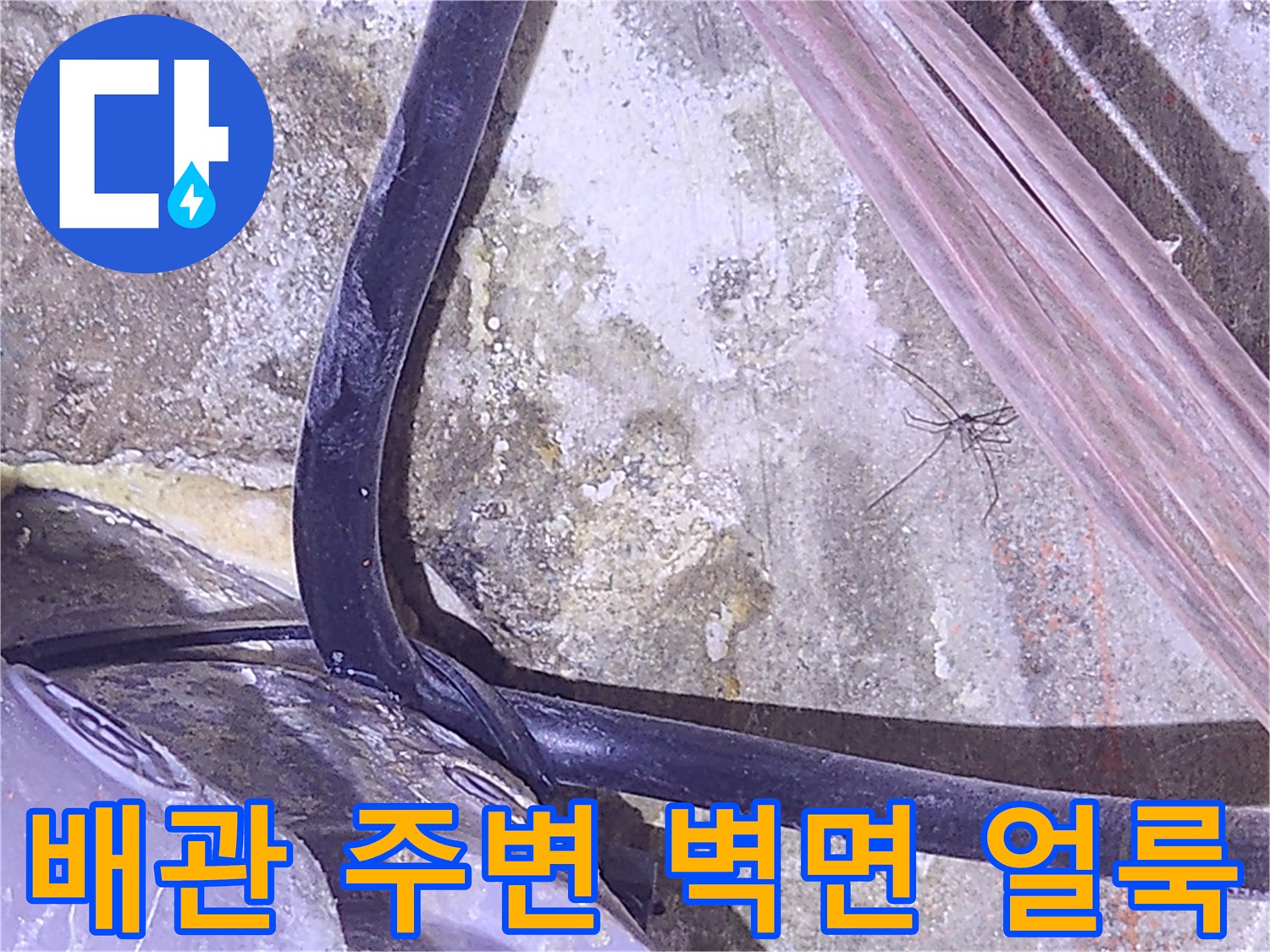 천장 내부-배관 주위의 습기 및 변색된 콘크리트 벽면