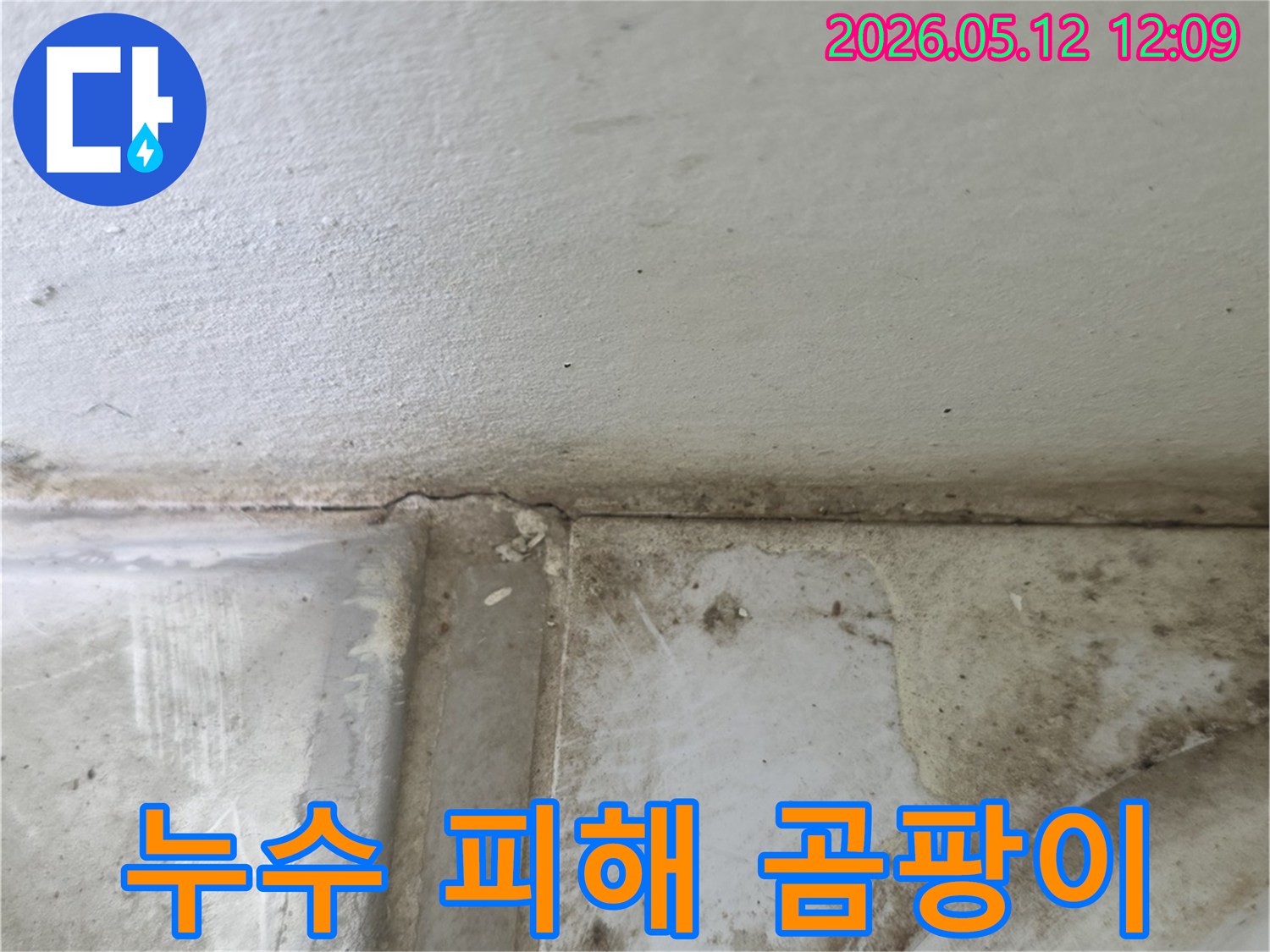 누수-문제로-인해-벽면-도장이-벗겨지고-곰팡이가-생성된-상황을-보여줍니다.