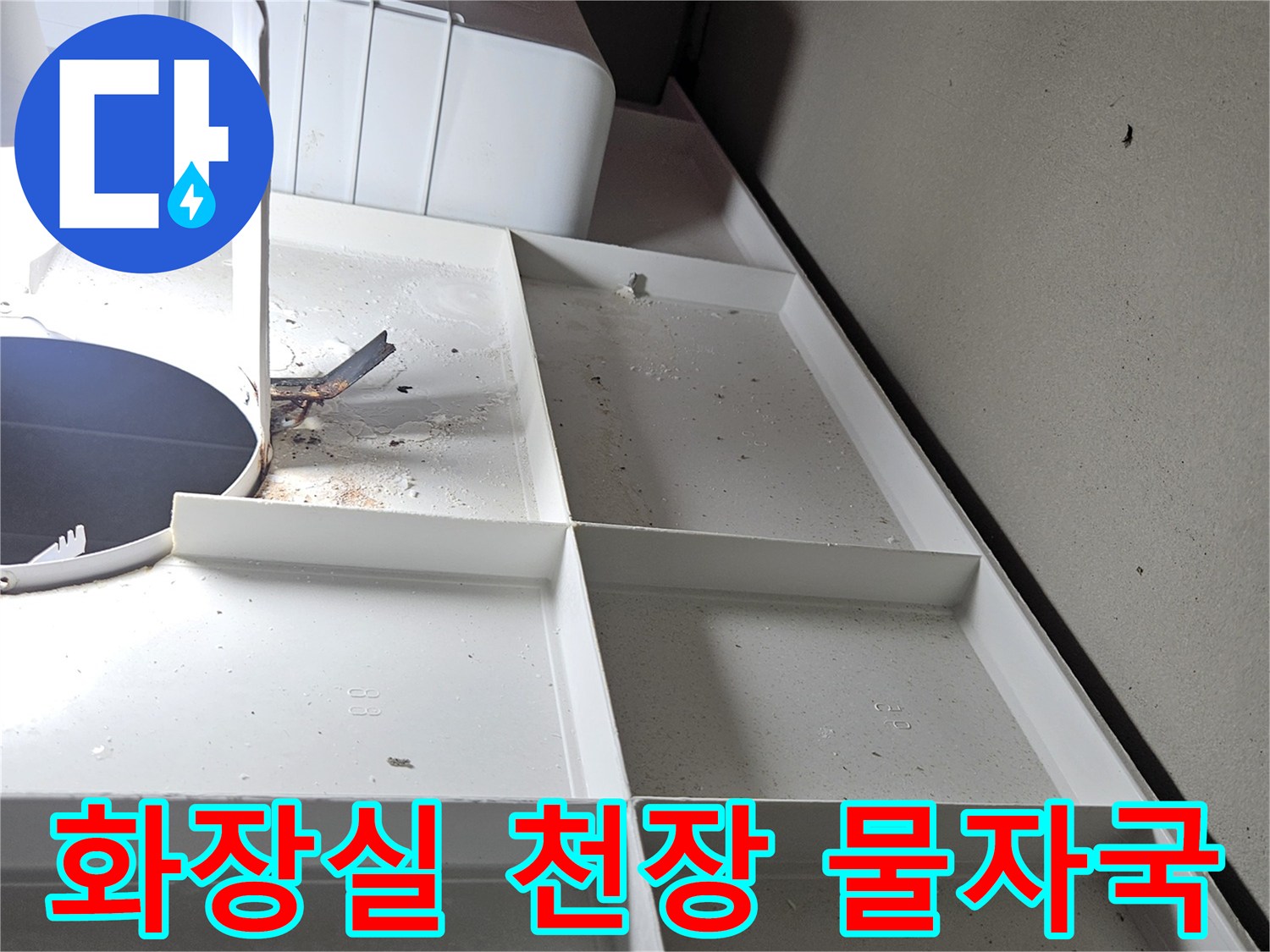 천장 구조물에 나타난 젖은 흔적과 습기