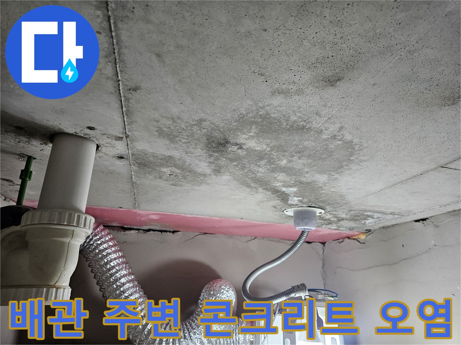 천장-배관-주변의-젖은-콘크리트-및-곰팡이