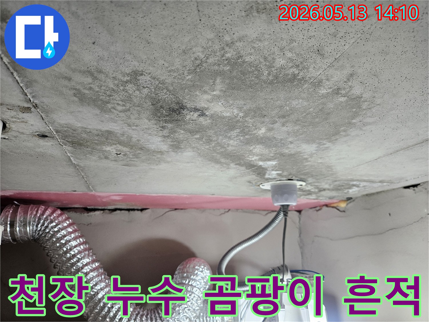 콘크리트 천장에 발생한-심각한 물샘 흔적과-곰팡이 번식 현장입니다