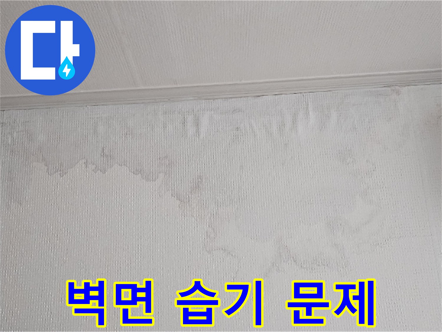 물이 새어 벽지가 젖고 곰팡이가 생길 수 있는 환경입니다-건강과 건물의 안전을 위해 빠른 조치가 필요합니다